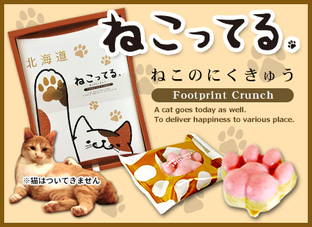 ねこってる。ねこのにくきゅう
