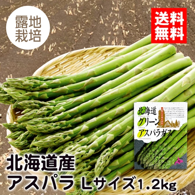 【露地栽培】北海道産アスパラ Lサイズ 1.2k