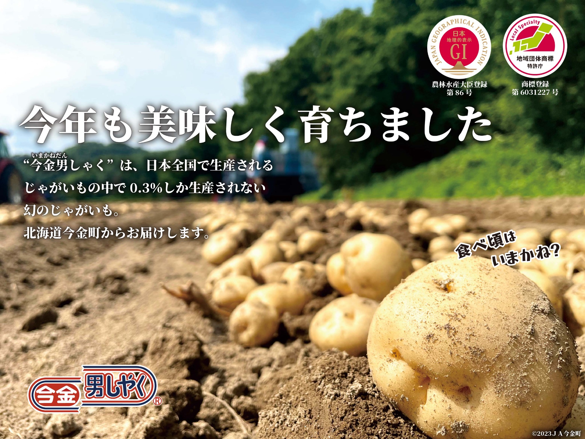 今金男しゃくポスター