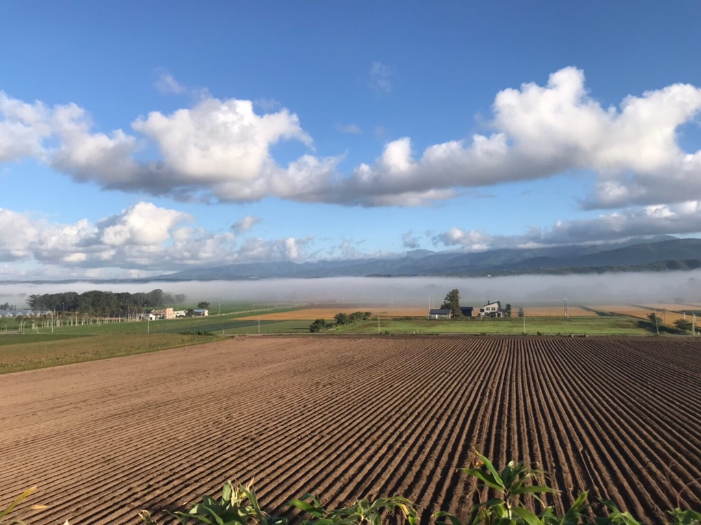 北海道今金町の農地風景