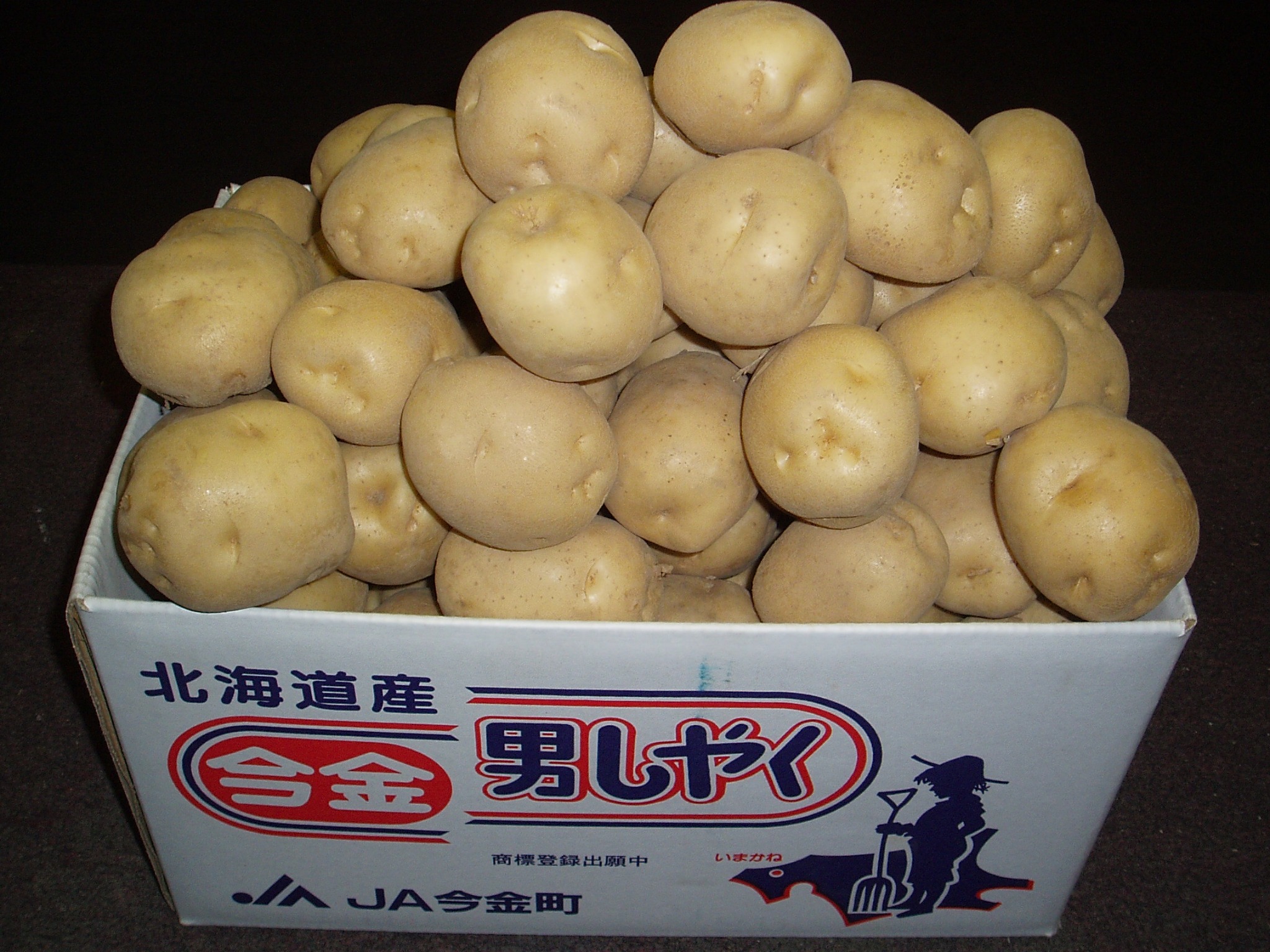 今金男しゃくの箱入り商品