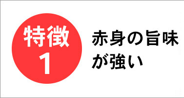 神内和牛あかは赤身の旨味が強い