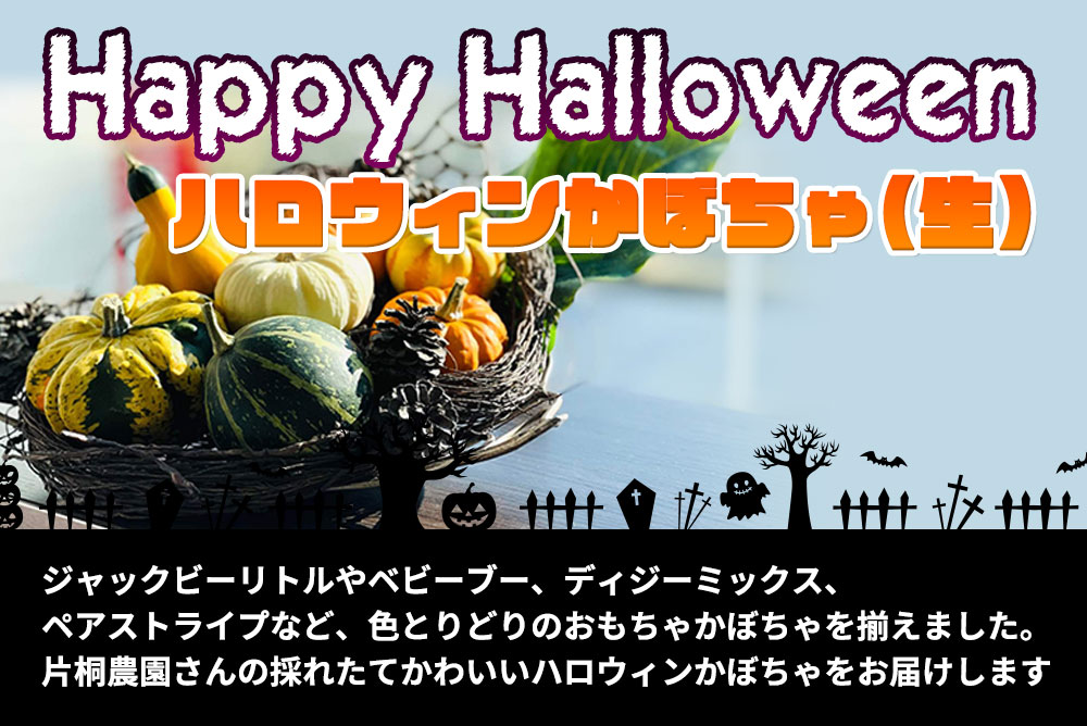 お土産通販北海道ギフトバザールのハロウィンかぼちゃセット