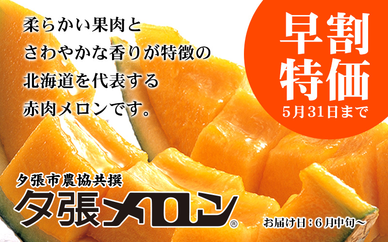 夕張市農協直送夕張メロン