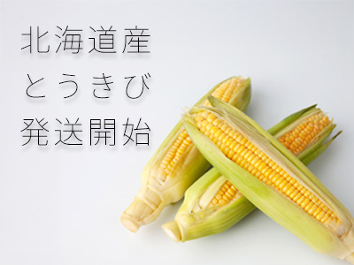 富良野産とうもろこし