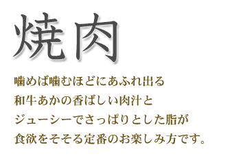 神内和牛あか 焼肉用 一口カット肉