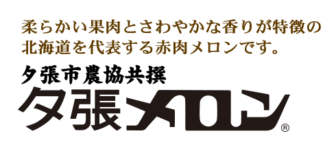 送料無料・夕張市農協直送！夕張メロン販売