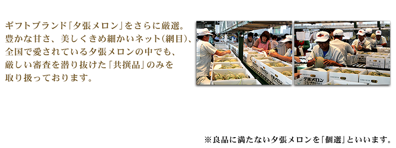 夕張メロンの中でも選りすぐられた共撰品